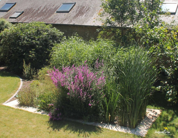 assainissement naturel