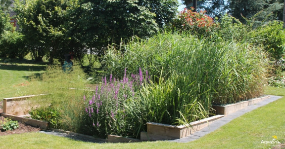 phytoepuration individuelle